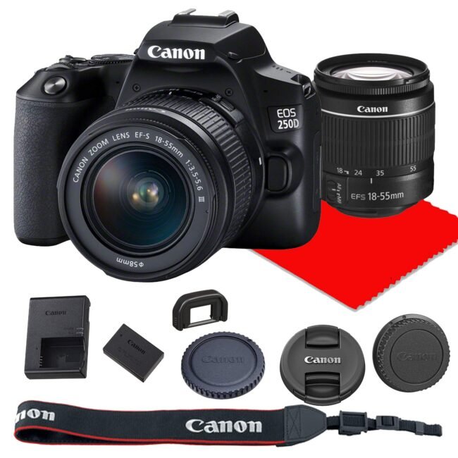 Canon EOS 250D + Objectif EF-S 18-55mm IS STM